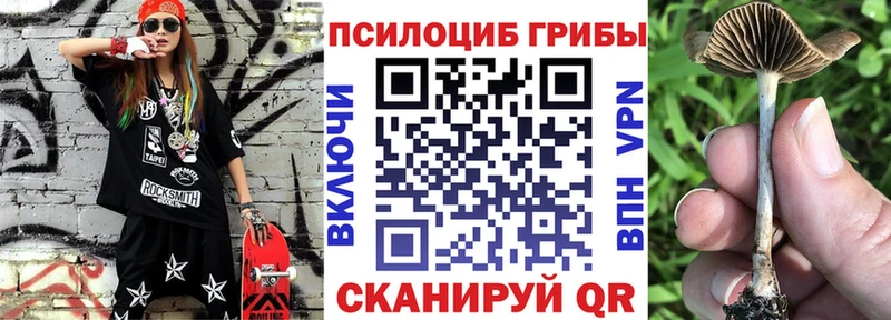 Галлюциногенные грибы GOLDEN TEACHER  площадка какой сайт  Темрюк  где купить наркотик 